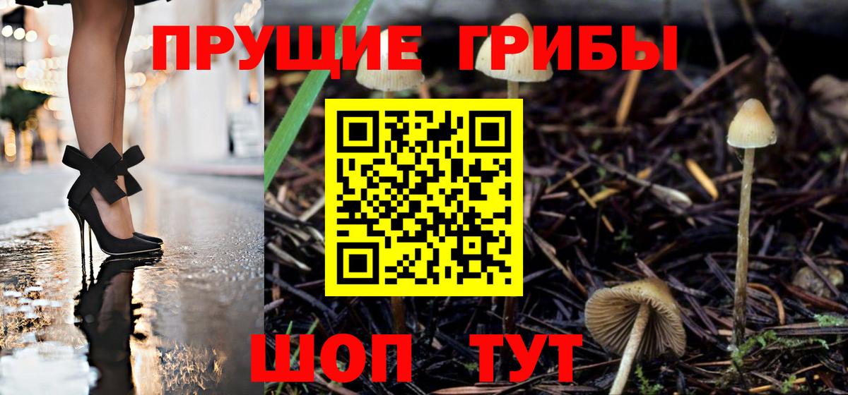 Псилоцибиновые грибы MAGIC MUSHROOMS Алексеевка