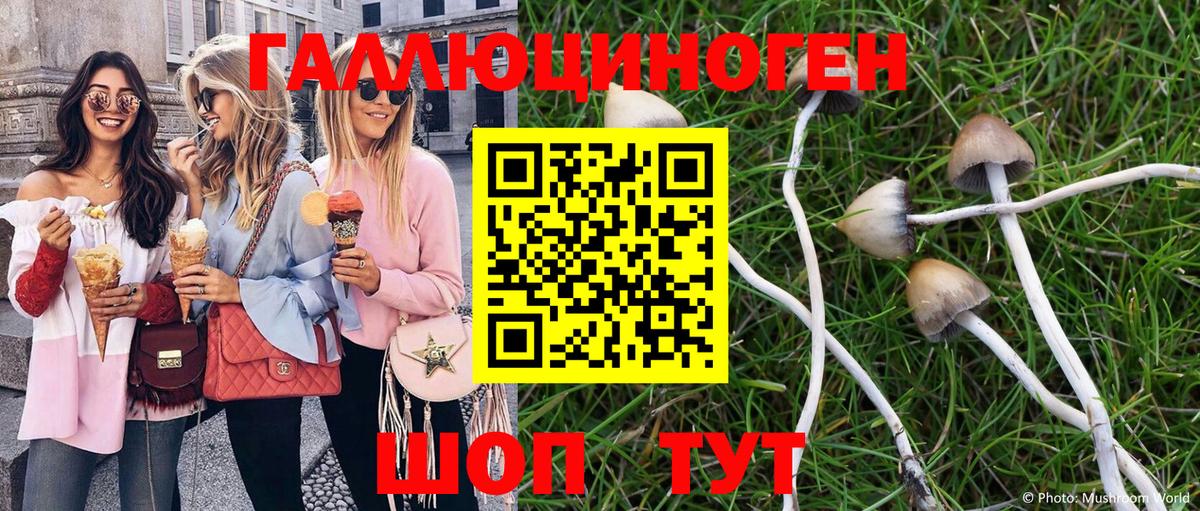 Галлюциногенные грибы мицелий  купить наркотики цена  Алексеевка  Вход с VPN 